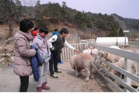 깅릉3.jpg